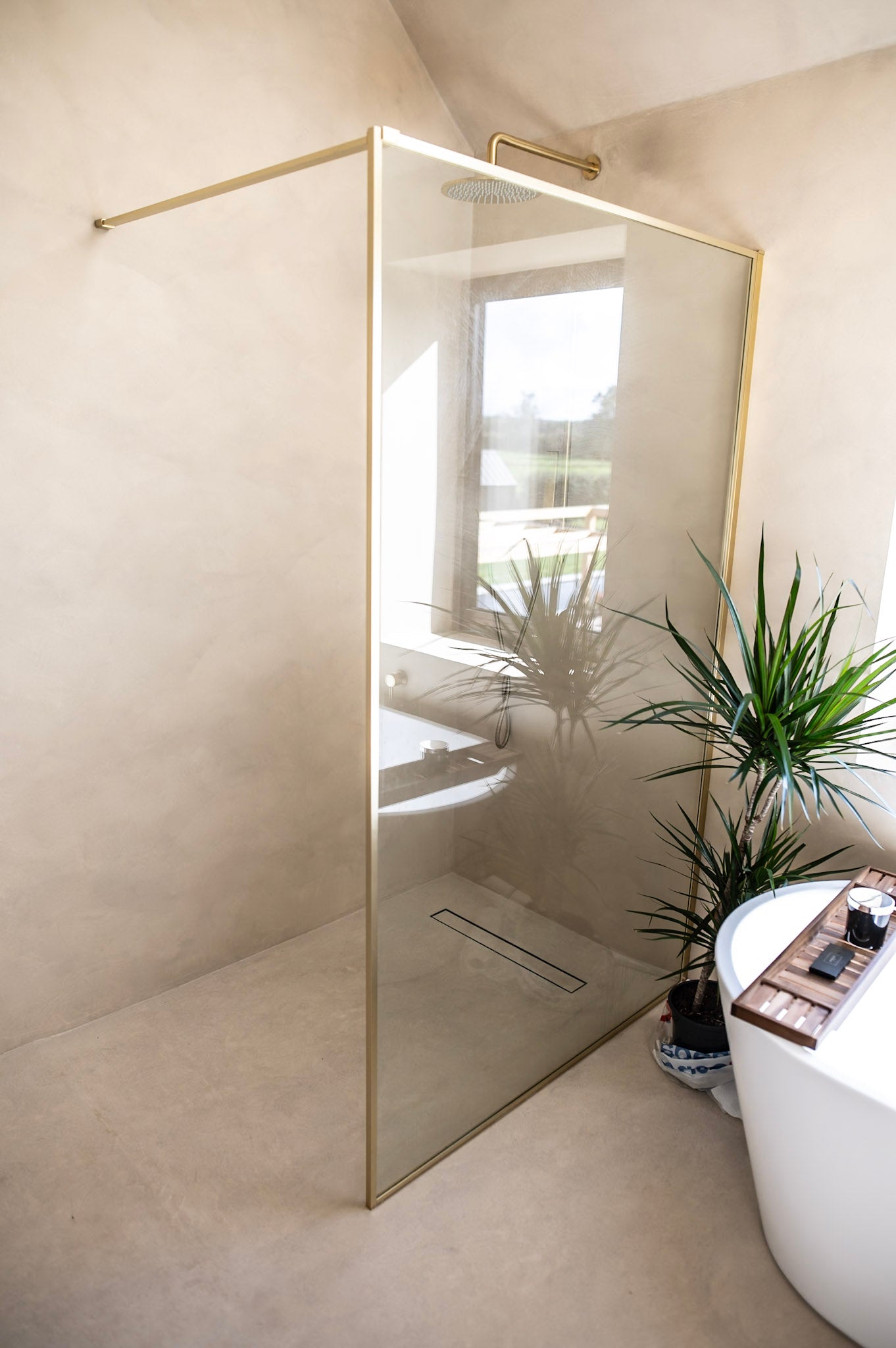 Modern bathroom with glass shower enclosure, plant, and bathtub.